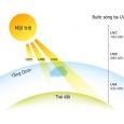Tia cực tím có tác hại gì đến cơ thể của bạn